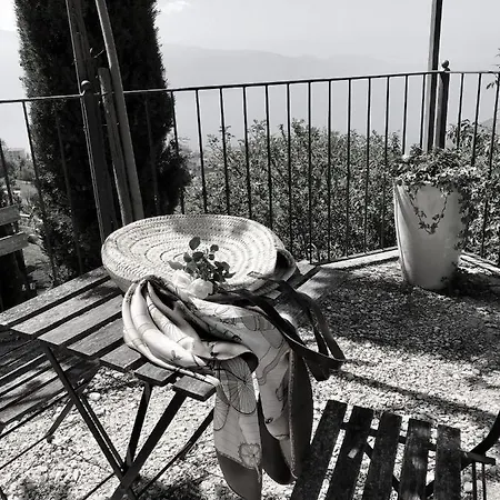 Borgo Le Vigne - La Vendemmia