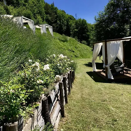 Borgo Le Vigne - La Vendemmia *