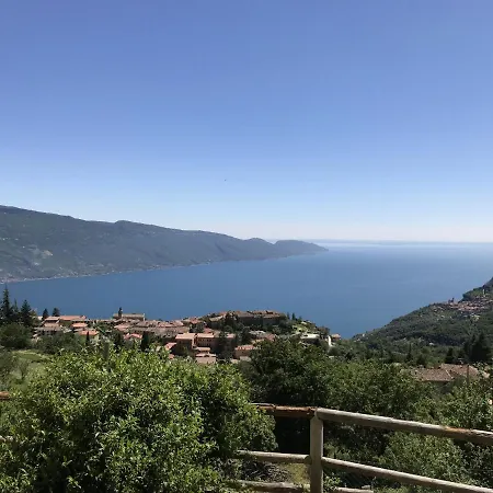 Borgo Le Vigne - La Vendemmia